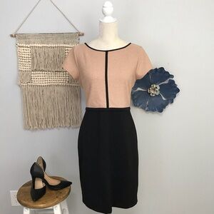 Ann Taylor tan and black sheath dress
